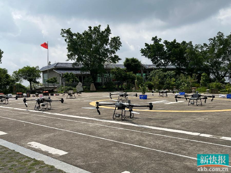 广州高效推long8进山地造林无人机成为主力军(图3)