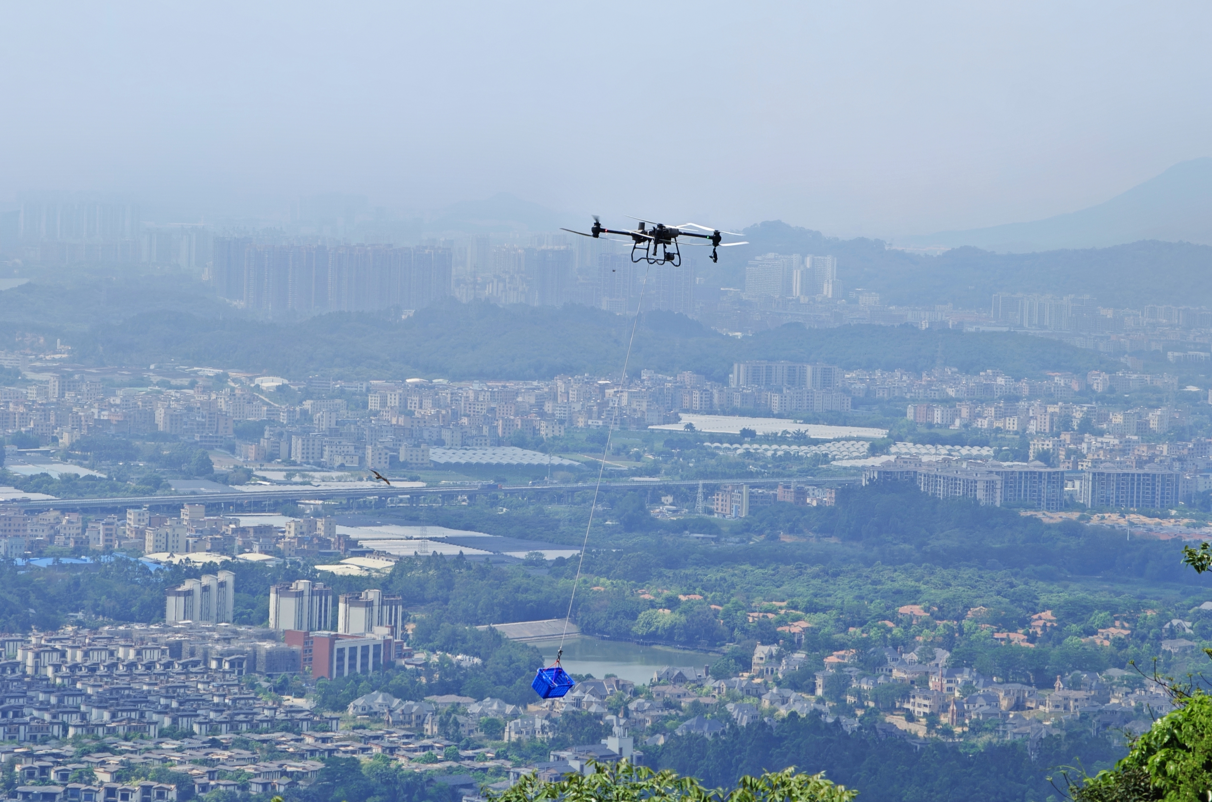 广州无人机“上岗”山地造林花都、从化已运40万株苗木(图5)
