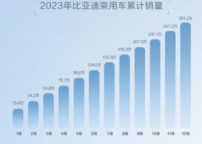 2023年比亚迪第一！2024年“价格战”继续？机构：未来靠自动驾驶分胜负龙8国际(图3)
