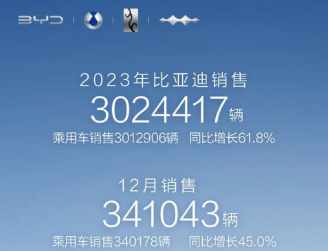2023年比亚迪第一！2024年“价格战”继续？机构：未来靠自动驾驶分胜负龙8国际(图2)