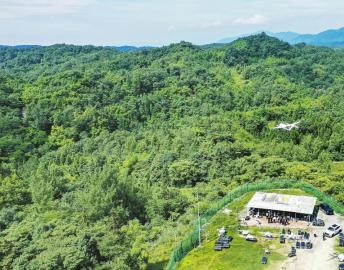 蓄势起飞竞逐低long8空经济新赛道(图5)