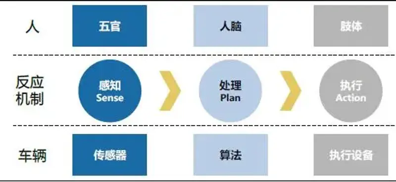 龙8国际2024年自动驾驶你敢尝试吗？(图1)