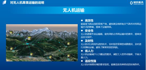 科技入怒双招双引：旭日蓝天无人机运输助力草果产业腾飞(图2)
