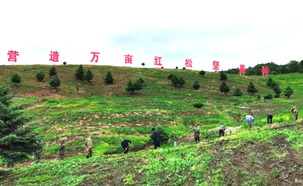 stylecontentlong8(图5)