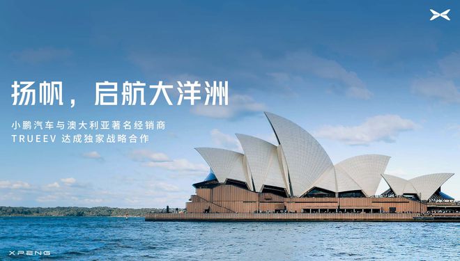 龙8小鹏汽车的2024：上演教科书式逆袭四面出击下忧患犹存(图5)