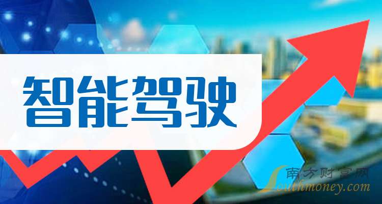 【干货分享】智能驾驶龙头股：共三只！（2025210）(图1)