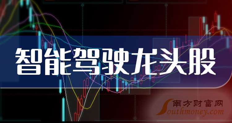 智能驾驶四大龙头企业（2025214）(图1)