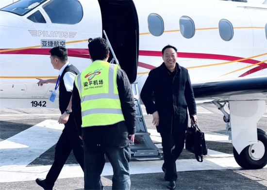 且随春风低空舞(图1)
