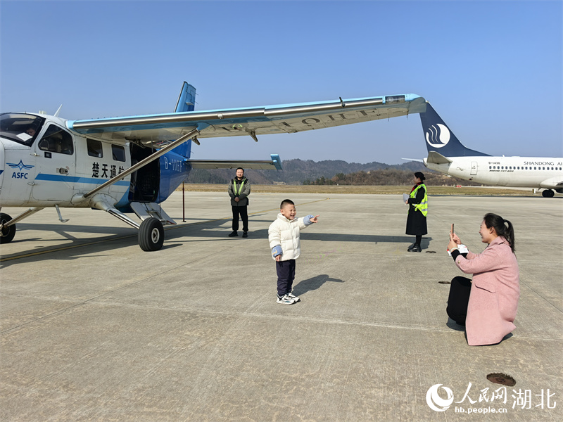 且随春风低空舞(图2)