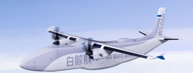 国内大型固定翼货运无人机一览(图2)