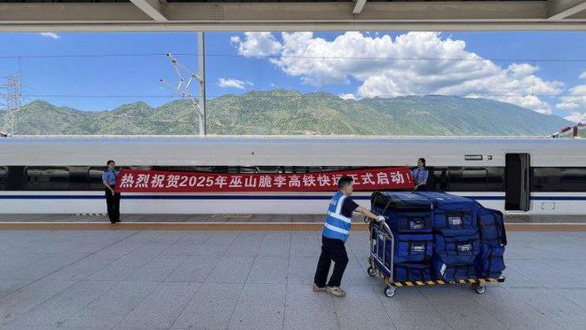 龙8国际全国首发！巫山脆李“坐”高铁2小时直达重庆中心城区(图3)