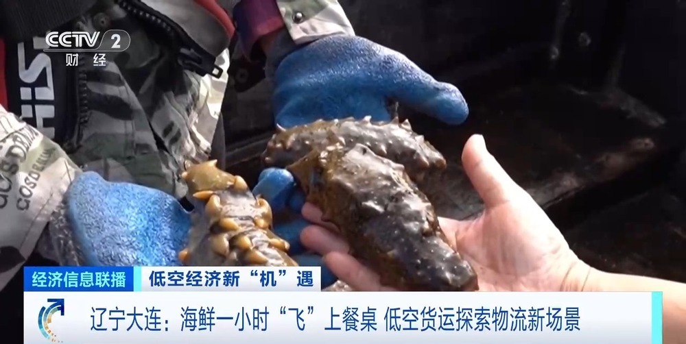 省时高效助力医疗、物流快速发展！低空经济开启新long8“机”遇→(图4)