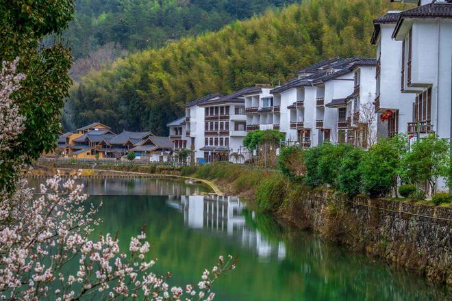 低调的浙江农村(图1)