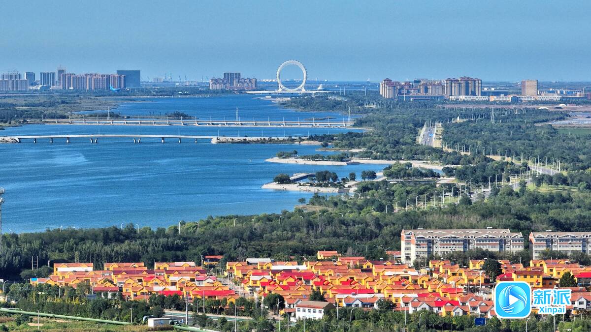 潍坊滨海区：依海long8而立向海而兴(图1)