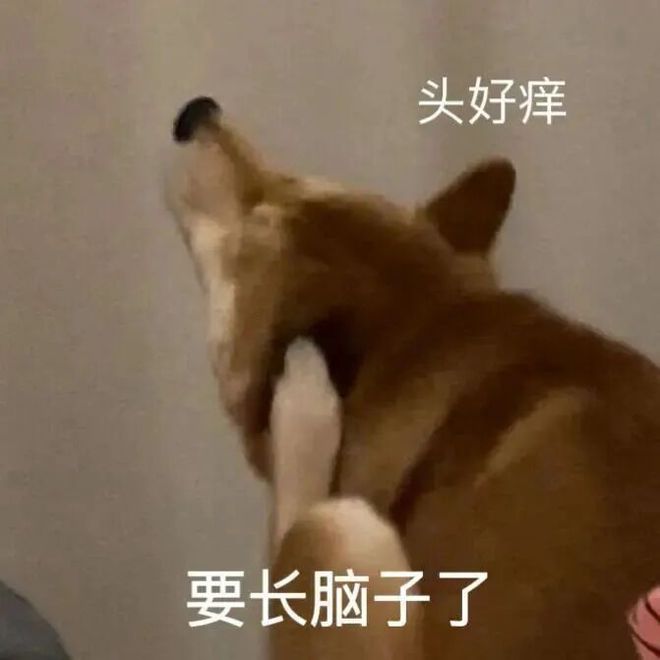 智能驾驶行业来了个不得了的新公司(图9)