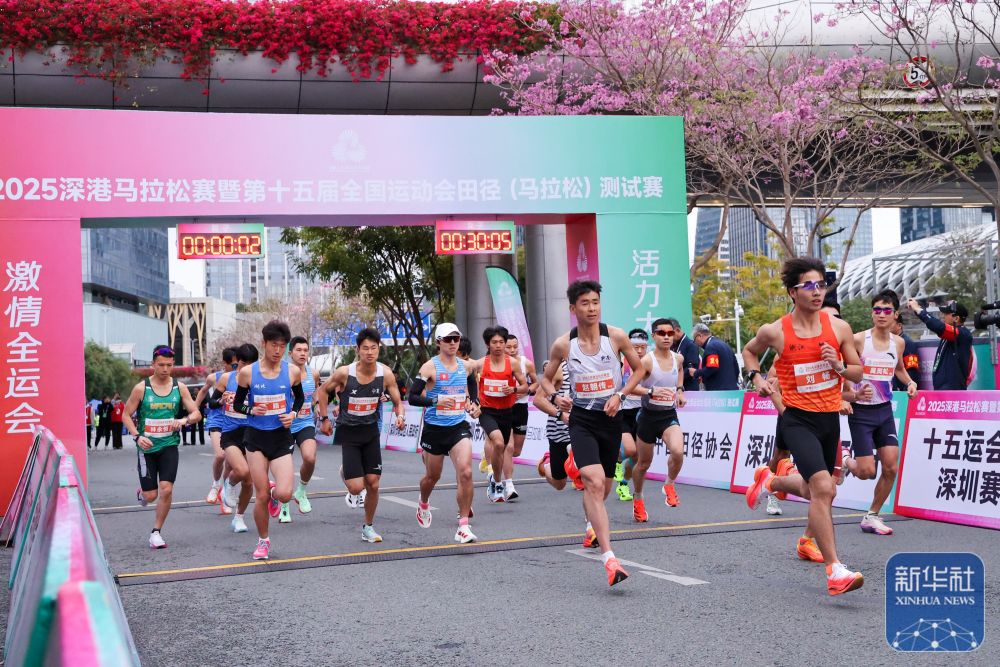 龙8全运会|在大湾区感知交通联通的强劲脉动(图1)