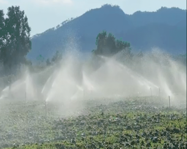 龙8全运会|在大湾区感知交通联通的强劲脉动(图10)