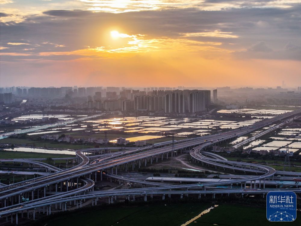 龙8全运会|在大湾区感知交通联通的强劲脉动(图15)