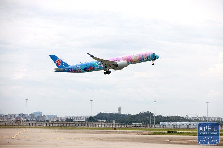 全运会丨在大湾区感知交通联通的强劲脉动(图24)