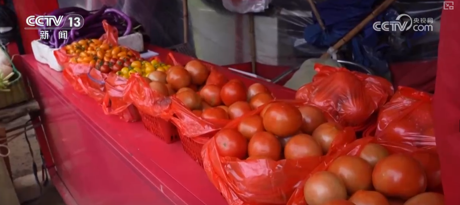 从民生服务到产业赋能多视角观察1800亿件快递背后“含金量”“含智量”(图9)