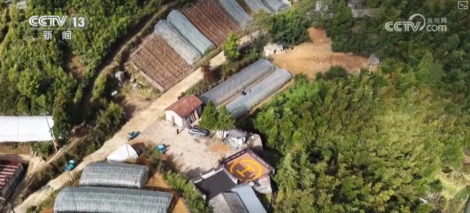 从民生服务到产业赋能多视角观察1800亿件快递背后“含金量”“含智量”(图10)