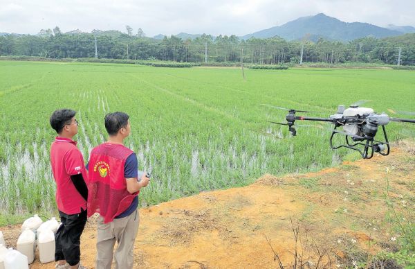 龙8国际物流运输卫生消杀植保喷洒肇庆工业级无人机“飞”入千行百业(图1)