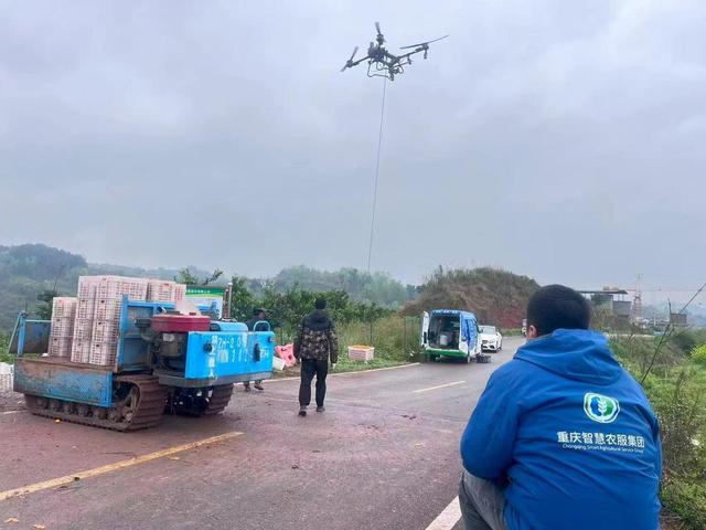 低空经济“渝”跃新程丨无人机“飞”进巴渝田地间激活农业新质生产力(图3)
