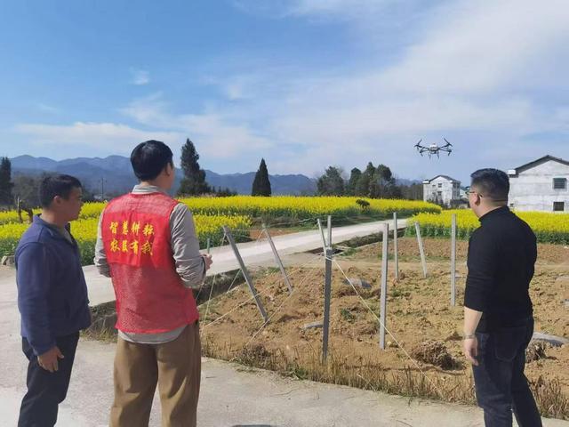 低空经济“渝”跃新程丨无人机“飞”进巴渝田地间激活农业新质生产力(图1)