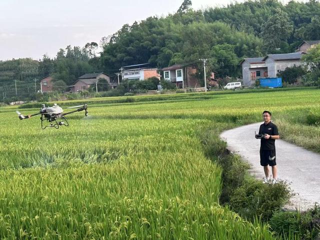 低空经济“渝”跃新程丨无人机“飞”进巴渝田地间激活农业新质生产力(图5)