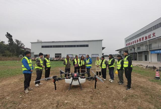 低空经济“渝”跃新程丨无人机“飞”进巴渝田地间激活农业新质生产力(图4)