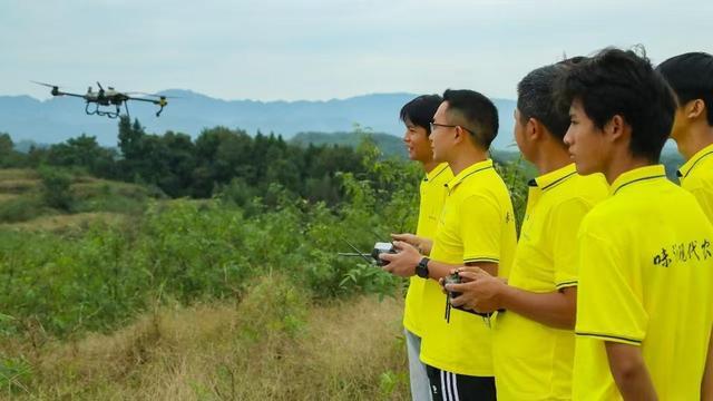 低空经济“渝”跃新程丨无人机“飞”进巴渝田地间激活农业新质生产力(图6)