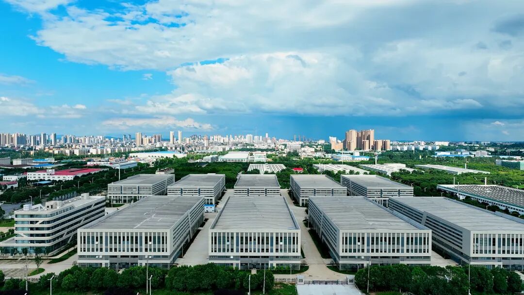 “追”了四年“宠”出一个产业集群(图1)