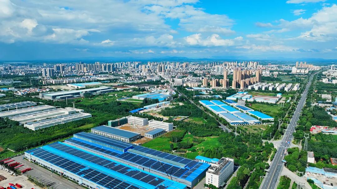 “追”了四年“宠”出一个产业集群(图5)